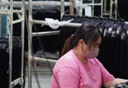 Power Cord Stripping