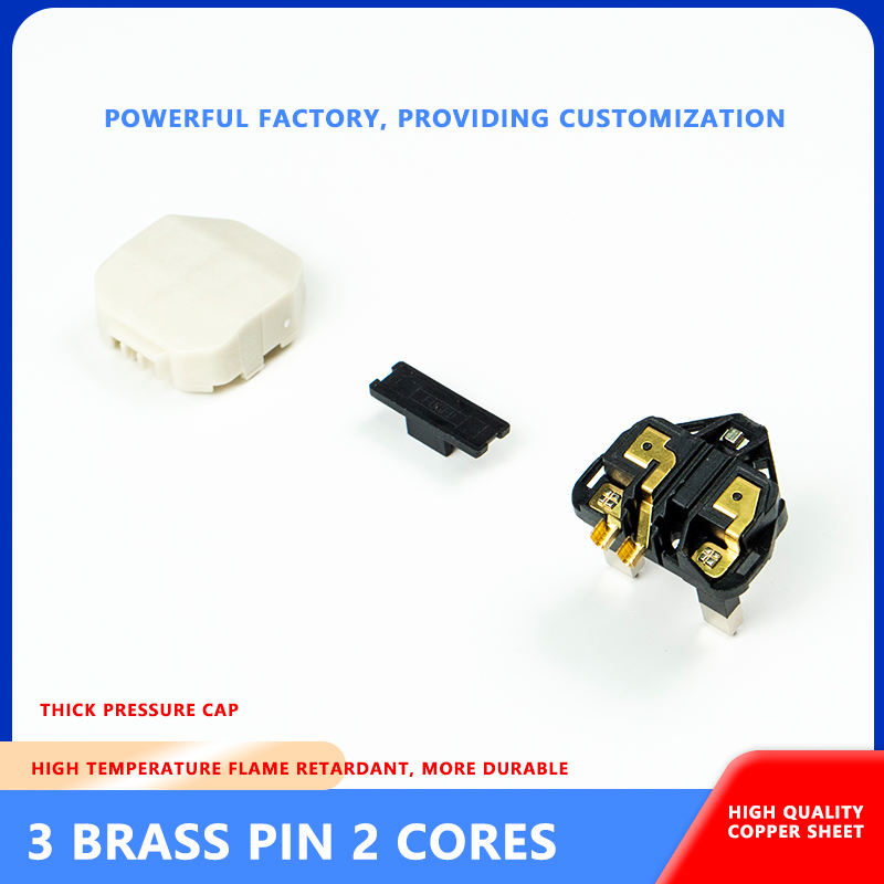 1773385481466663.jpg BS1363 Plug Insert.jpg